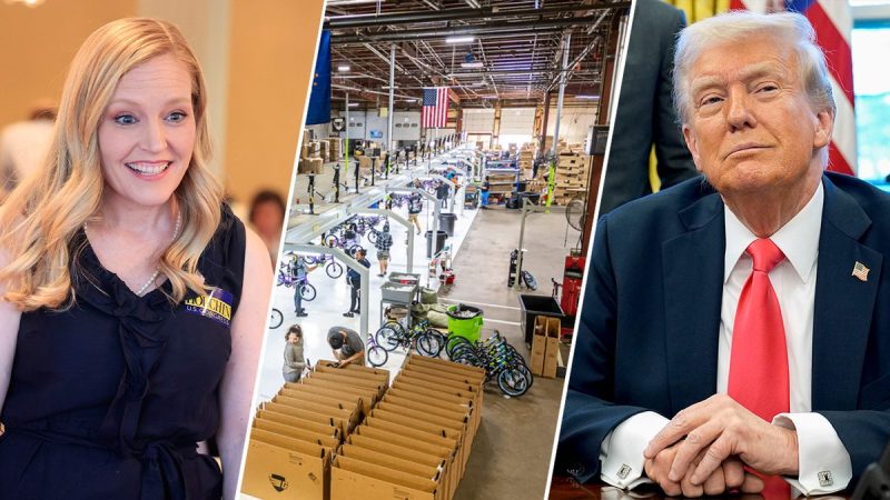 GOP lawmaker touts $19M Trump tariff success story in her district: ‘New model for American manufacturing’