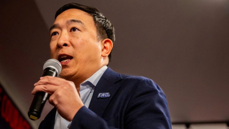 Elon Musk connects with indie Andrew Yang on billionaire former Trump ally’s third party push