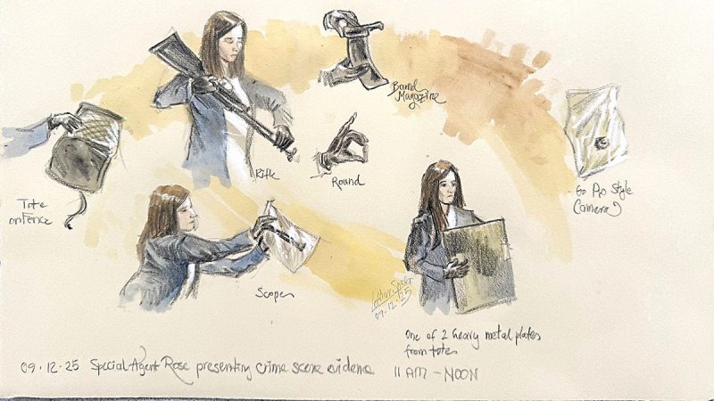 Prosecution presses forward as Ryan Routh trial resumes on Day 6