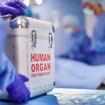 Biden-era regulation on the chopping block as Trump-aligned legal group warns of ‘DEI lens’