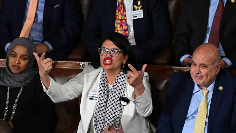 ‘Squad’ member wears ‘F— ICE’ pin on House floor during Trump address